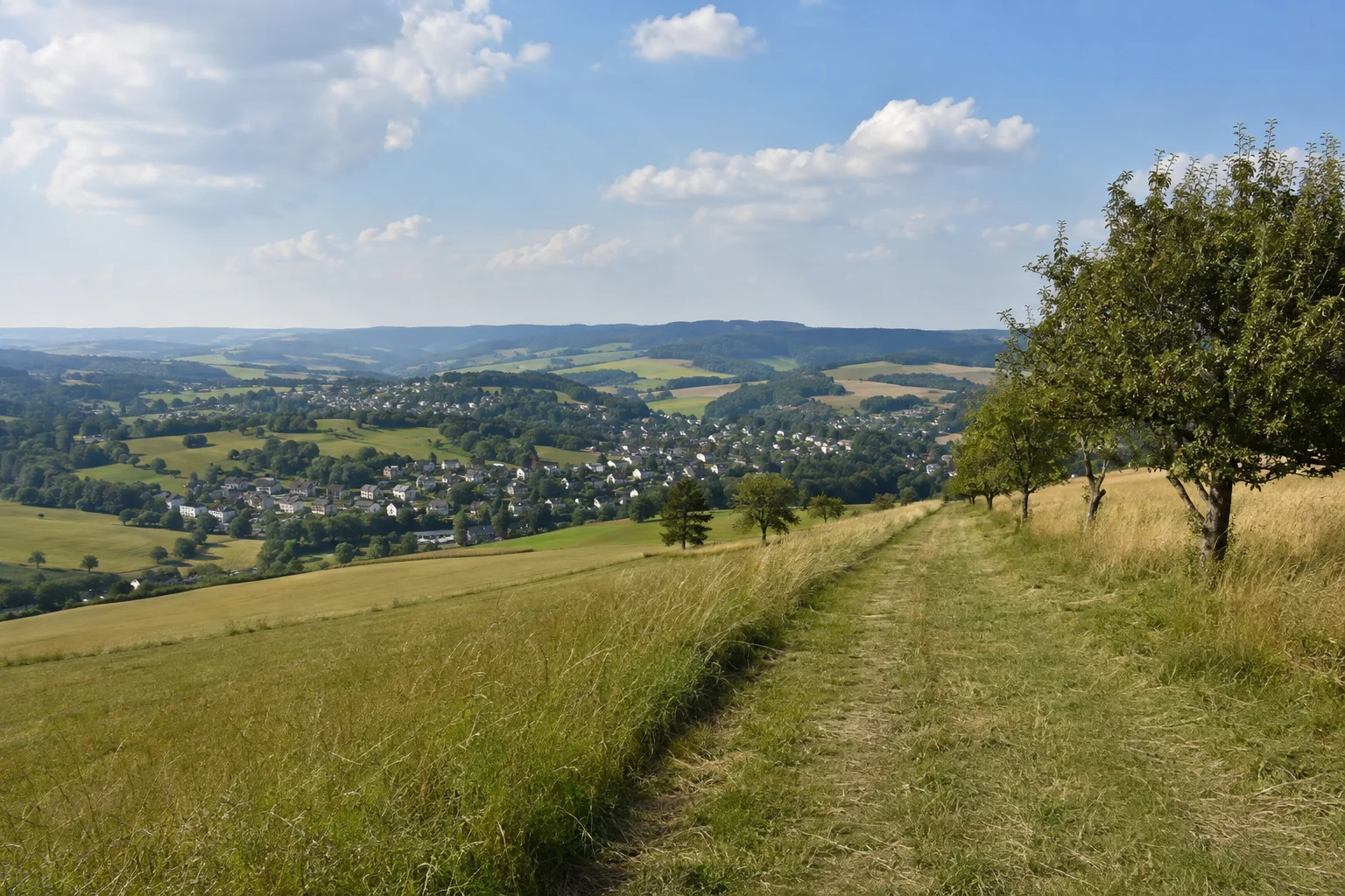 Rebesgrüner Höhen: offener Wiesenweg mit einzelnen Obstbäumen und weitem Hügelland