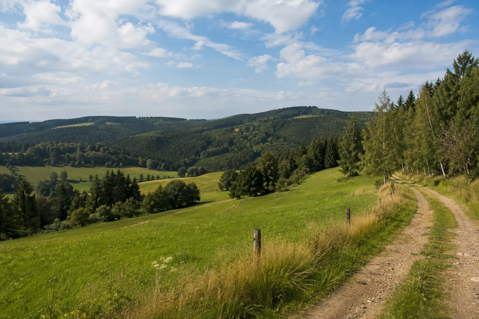 Auerbach/Vogtland: Auerbach/Vogtland: Beerheider Landschaft: breite grüne Wiesen vor dunklen Nadelwaldhöhen im Vogtland