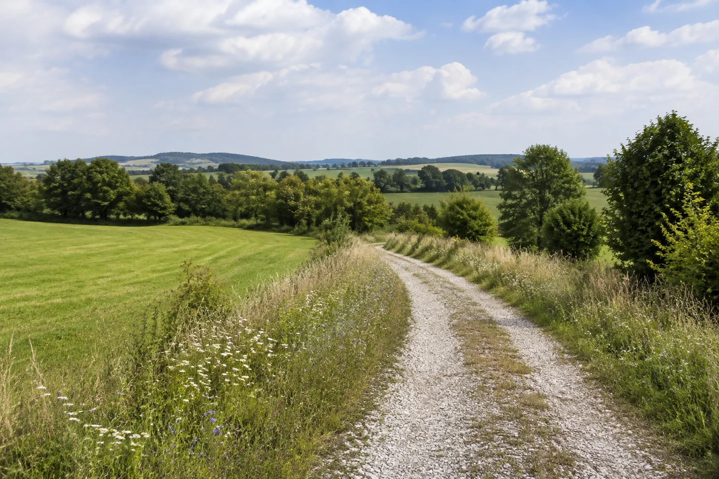 Breiter Wiesenhorizont bei Hochstahl, leicht wellige Jurafläche, von Feldrainblumen gesäumter Schotterweg und niedrige Baumreihen im Spätsommer.