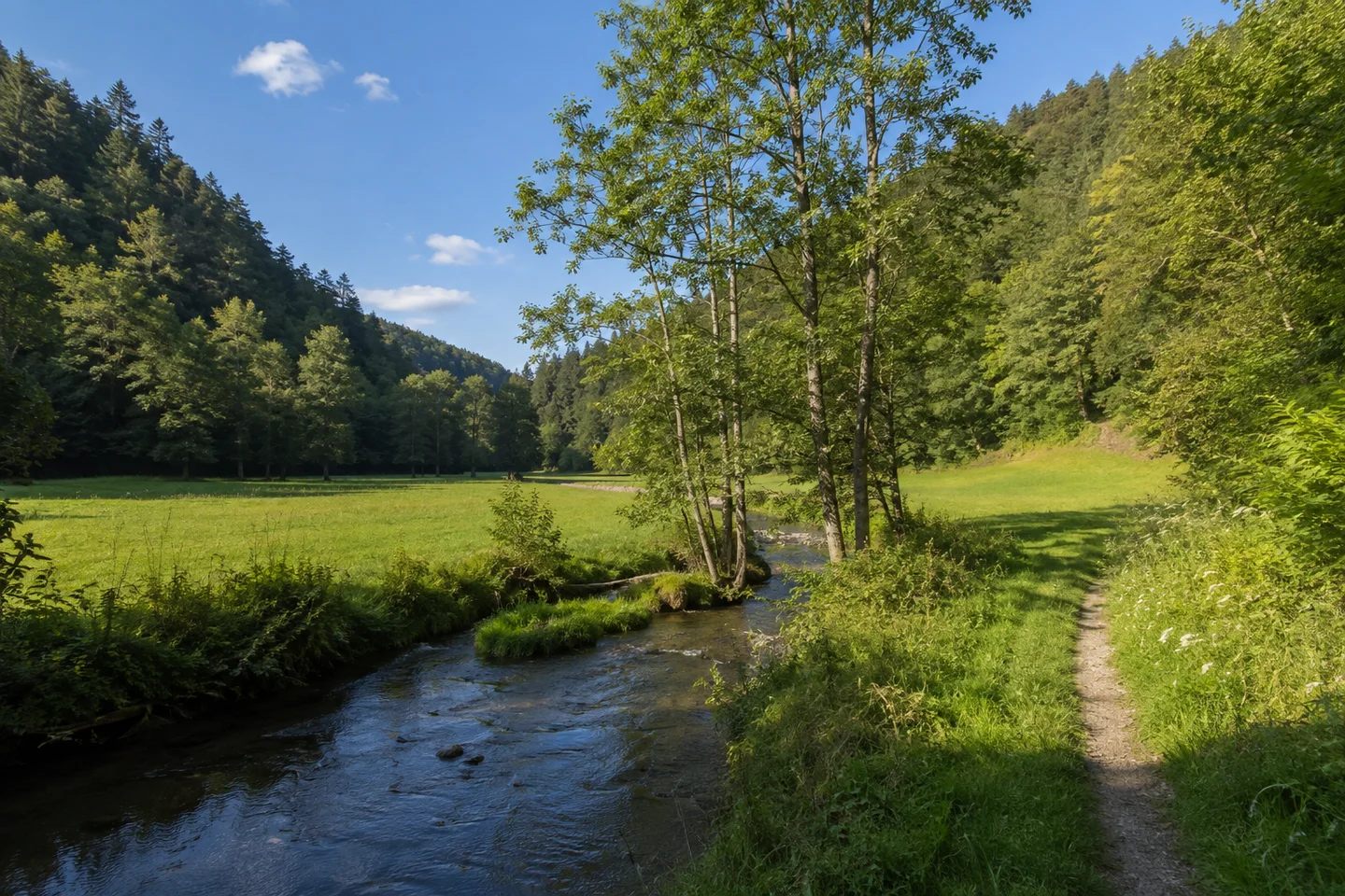 Aufseß: Kleiner Aufseßbach zwischen grünen Talwiesen nahe Aufseß, Erlen am Ufer und mäßig hohe bewaldete Jurahänge, schmaler Weg am Wiesenrand.