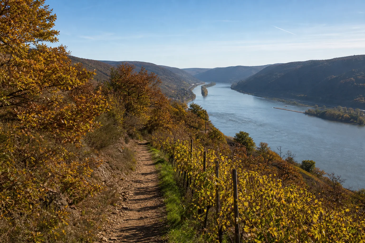 Rheinhöhen: felsige Waldkante über dem Tal
