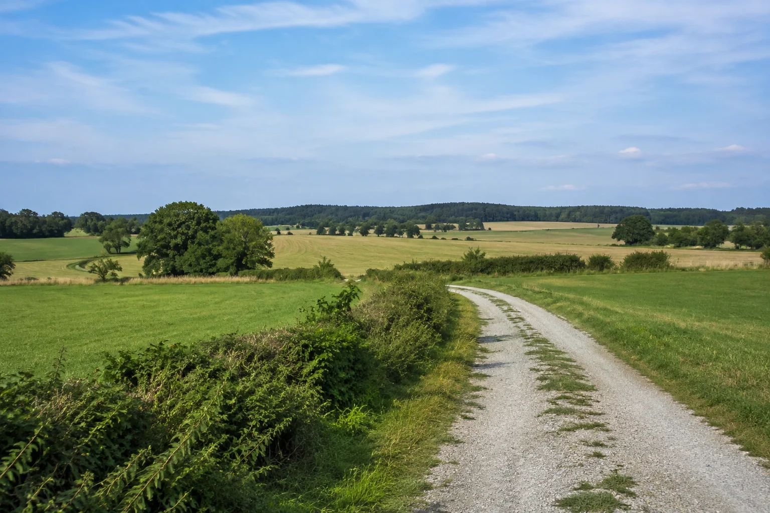 Mietraching: sanftes Wiesenland, Feldweg und Laubbaumgruppen am nördlichen Ortsrand