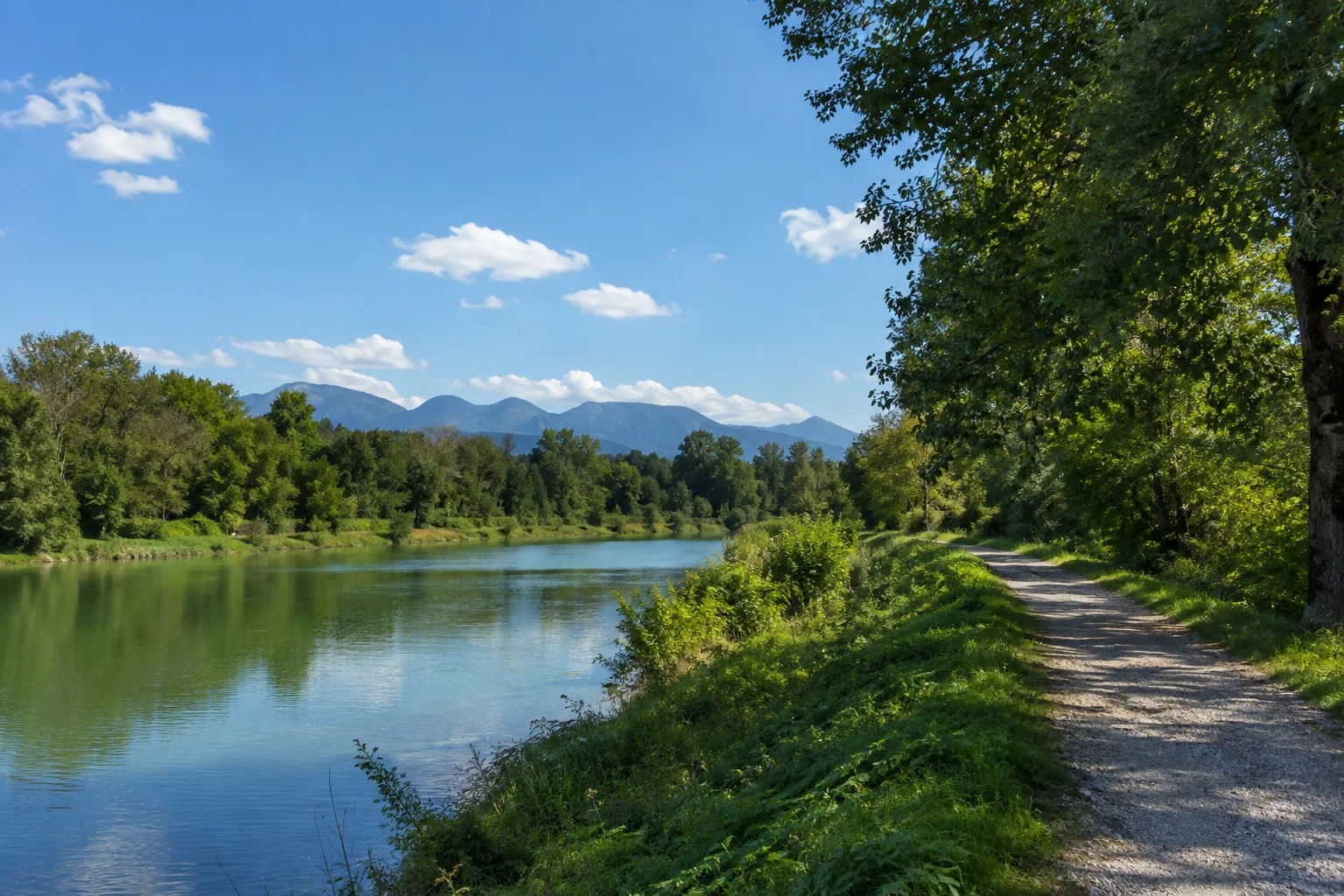 Bad Aibling: Bad Aibling: flaches Mangfallufer, grünliches Flusswasser, Laubbäume und Uferweg