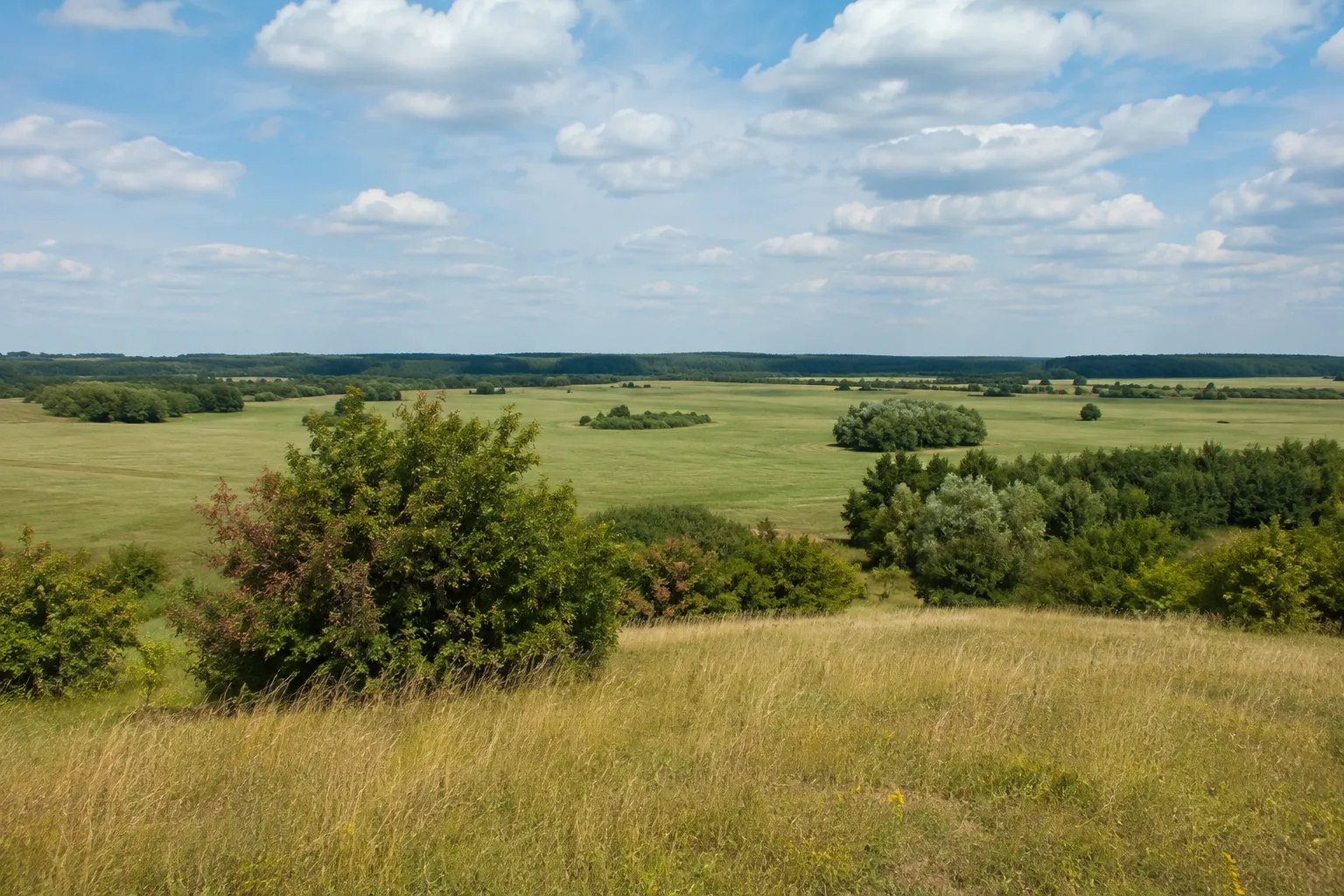 Hagelberg: weiter Wiesenblick von einer sanften Kuppe mit Feldgehölzen und fernem Wald
