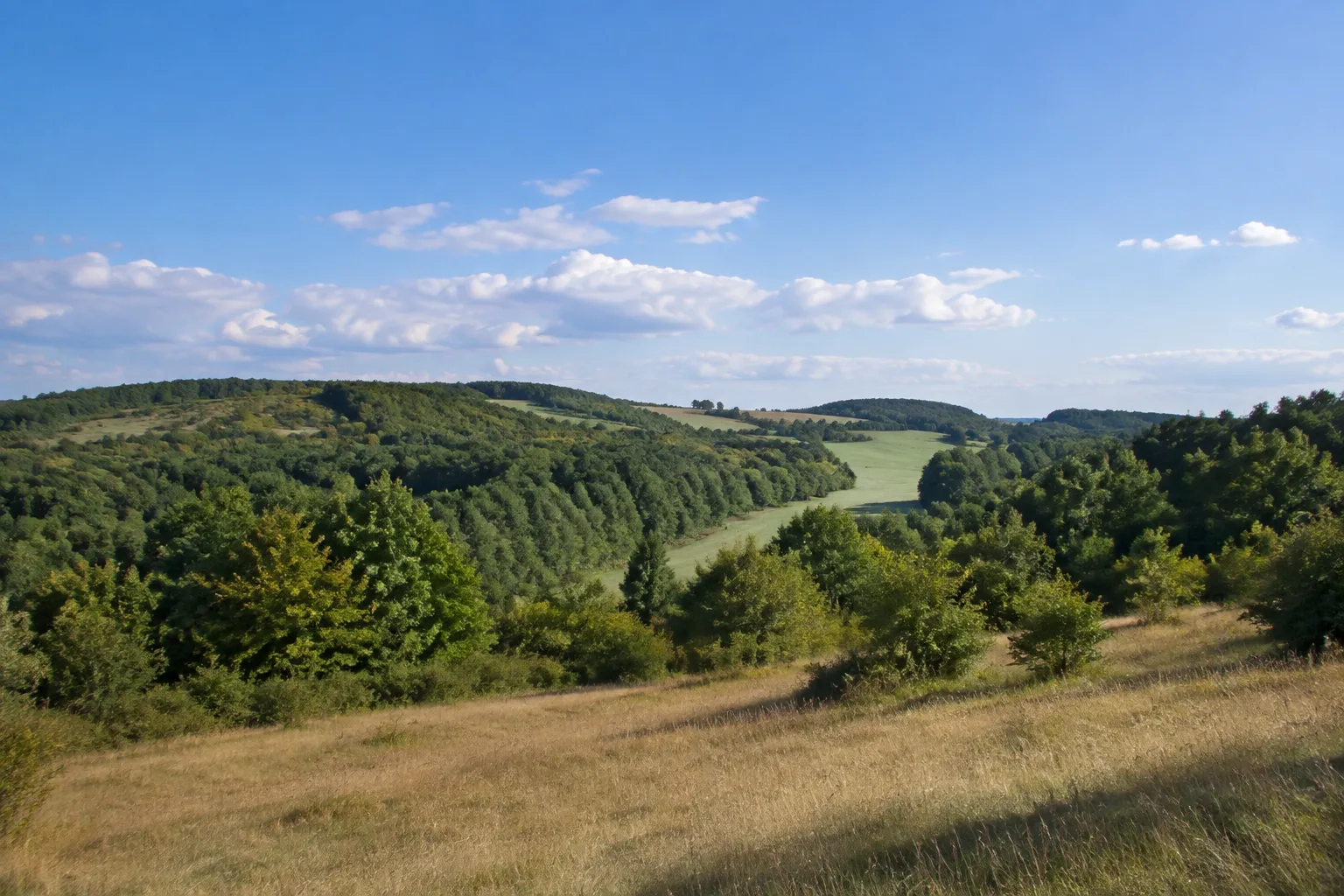 Bad Belzig: Bad Belzig / Burgstadt: Belziger Hügellandschaft: bewaldete niedrige Höhen mit offenen Wiesen am Stadtrand