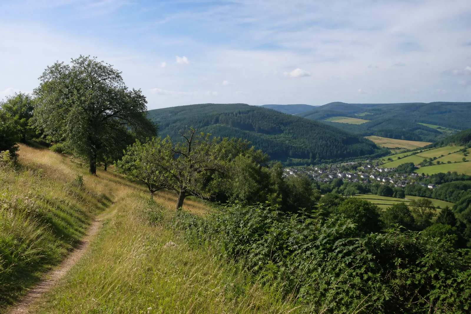 Schmaler Wiesenweg über einem Wittgensteiner Tal bei Dotzlar