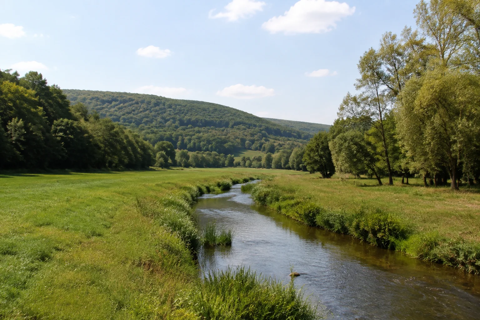 Bad Bocklet: Fränkische Saale bei Bad Bocklet: geschwungener kleiner Fluss zwischen grünen Wiesen und Baumgruppen, sanfte bewaldete Hänge.