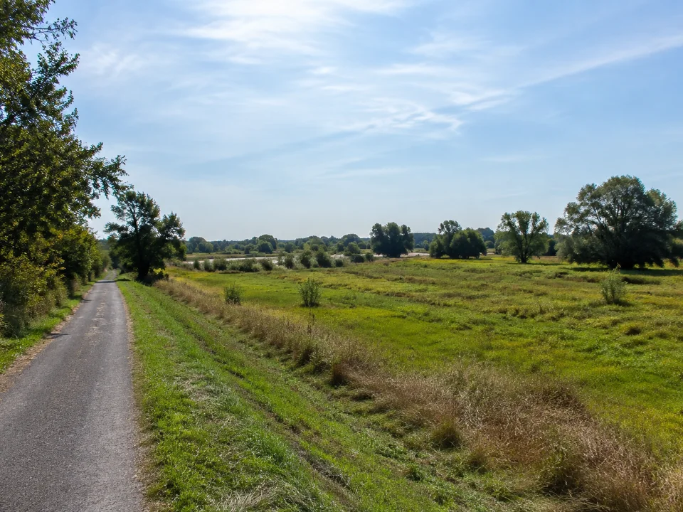 Muldenaue bei Schnaditz: Breite flache grüne Flussaue mit Weiden, Wiesen und einem einfachen befestigten Weg