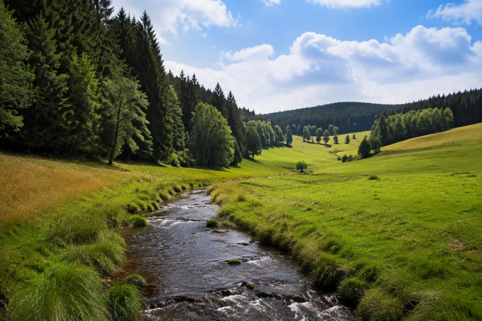 Raunergrund: kleines Bachtal mit Wiesen und dunklem Waldsaum