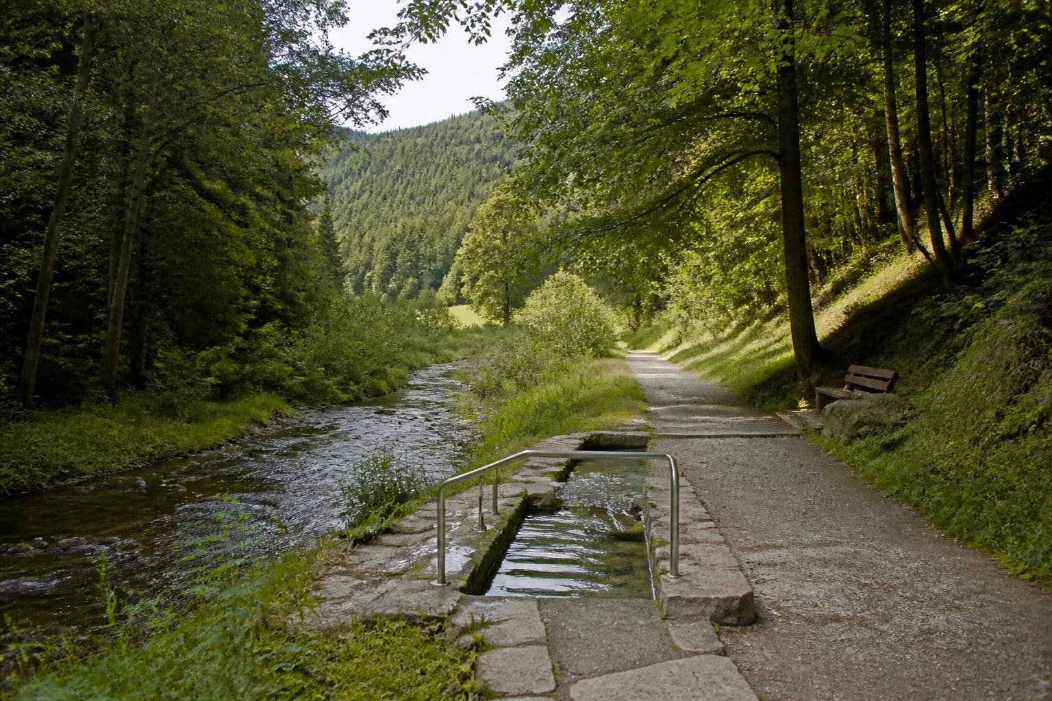 Bad Fredeburg: Kneippweg am Kurpark Bad Fredeburg