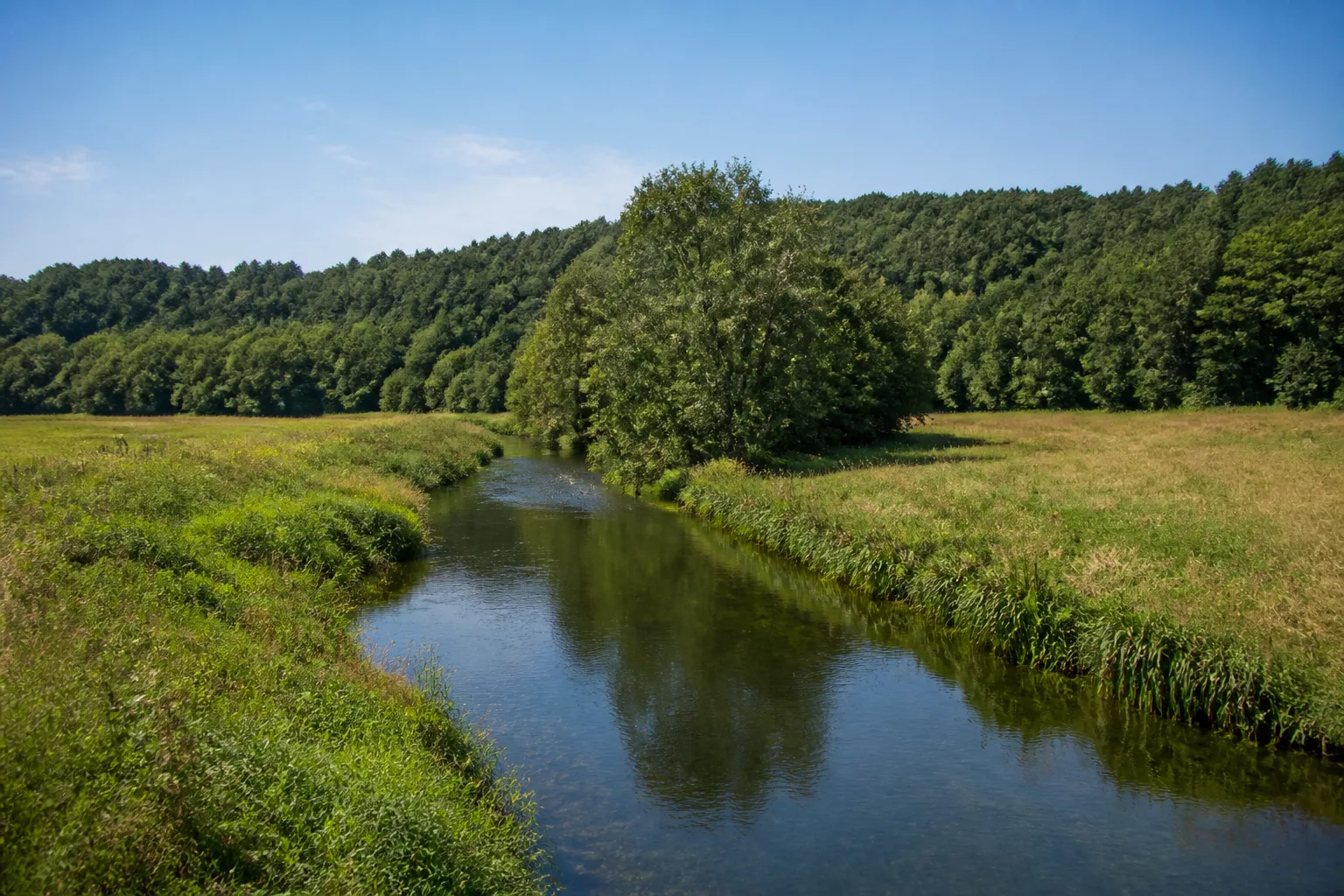 Alte Oder bei Schiffmühle: ruhiger schmaler Fluss zwischen Wiesen mit bewaldetem Hang im Hintergrund