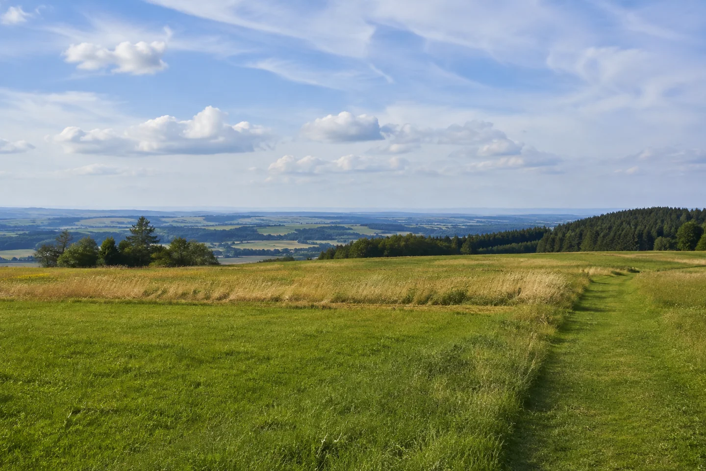 Zell bei Bad Grönenbach: offene Hochterrassenwiesen über dem Illerraum mit entferntem Waldsaum