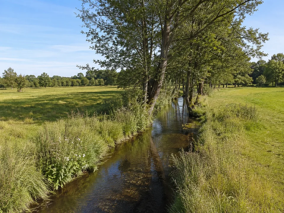 Erlenbachaue: Kleiner ruhiger Bach mit Erlen und grünen Wiesen in weitgehend flacher offener Landschaft