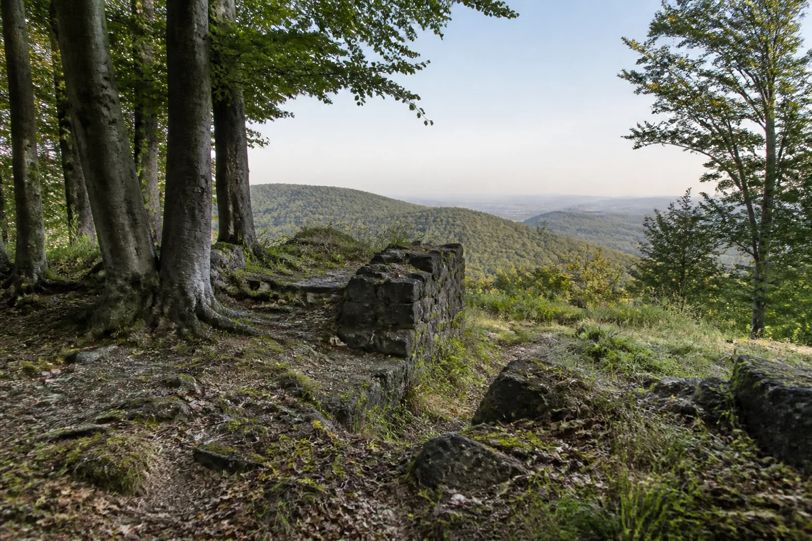 Basaltreste und bewaldete Höhen im Bereich der Löwenburg bei Bad Honnef