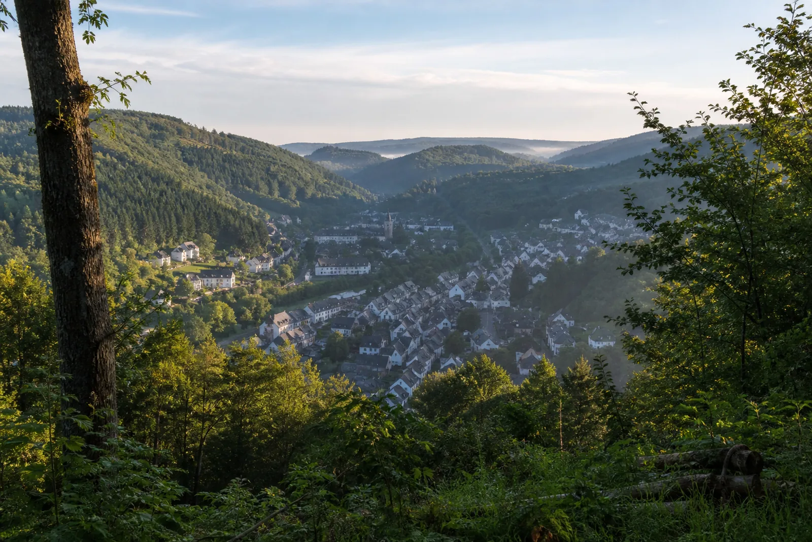Bad Laasphe: Plausibler Blick auf Bad Laasphe