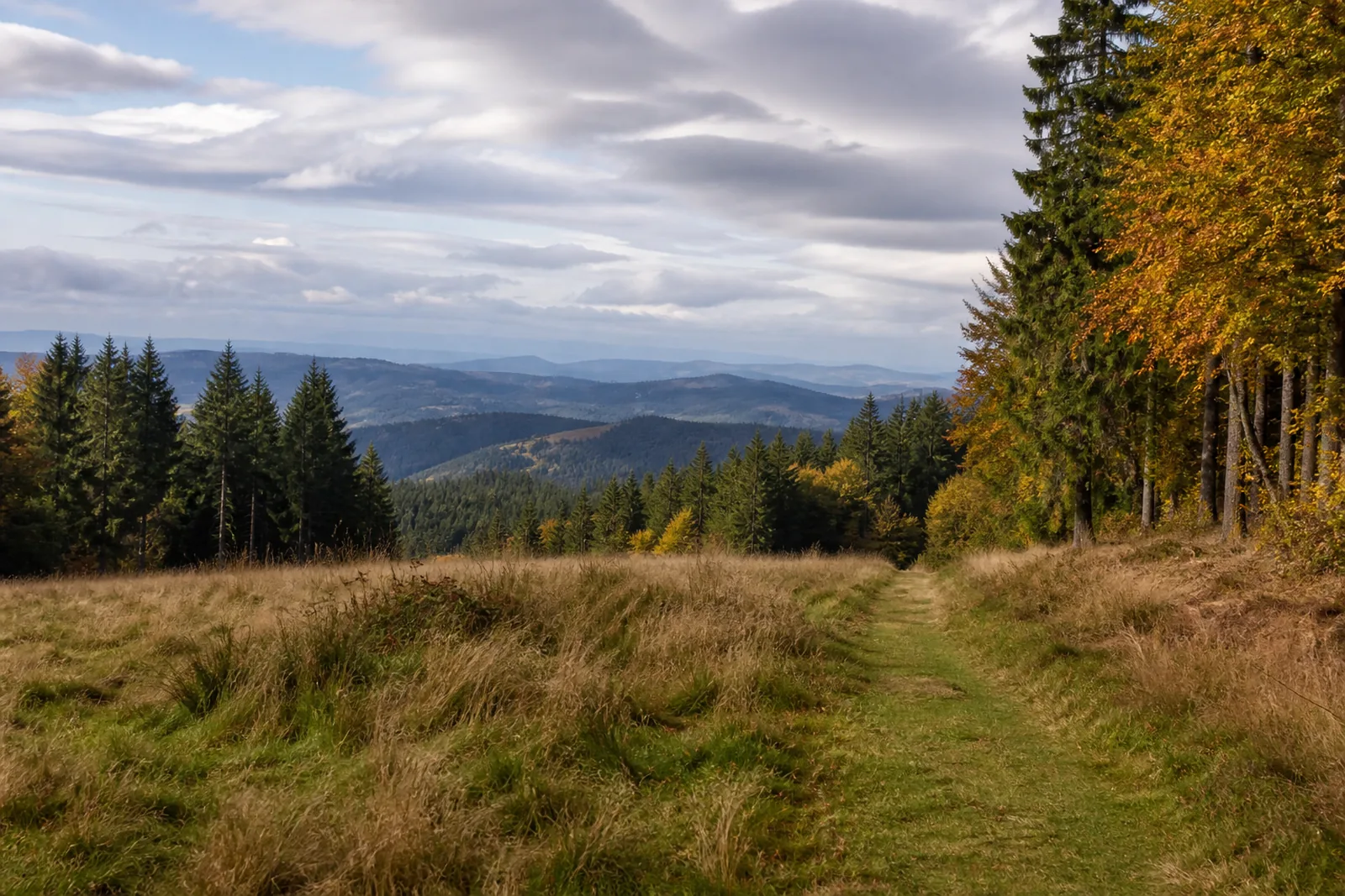 Höhenweg bei Heiligenborn