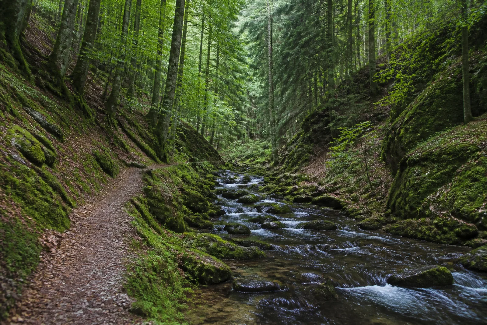 Wanderweg am Bach im Ilsetal