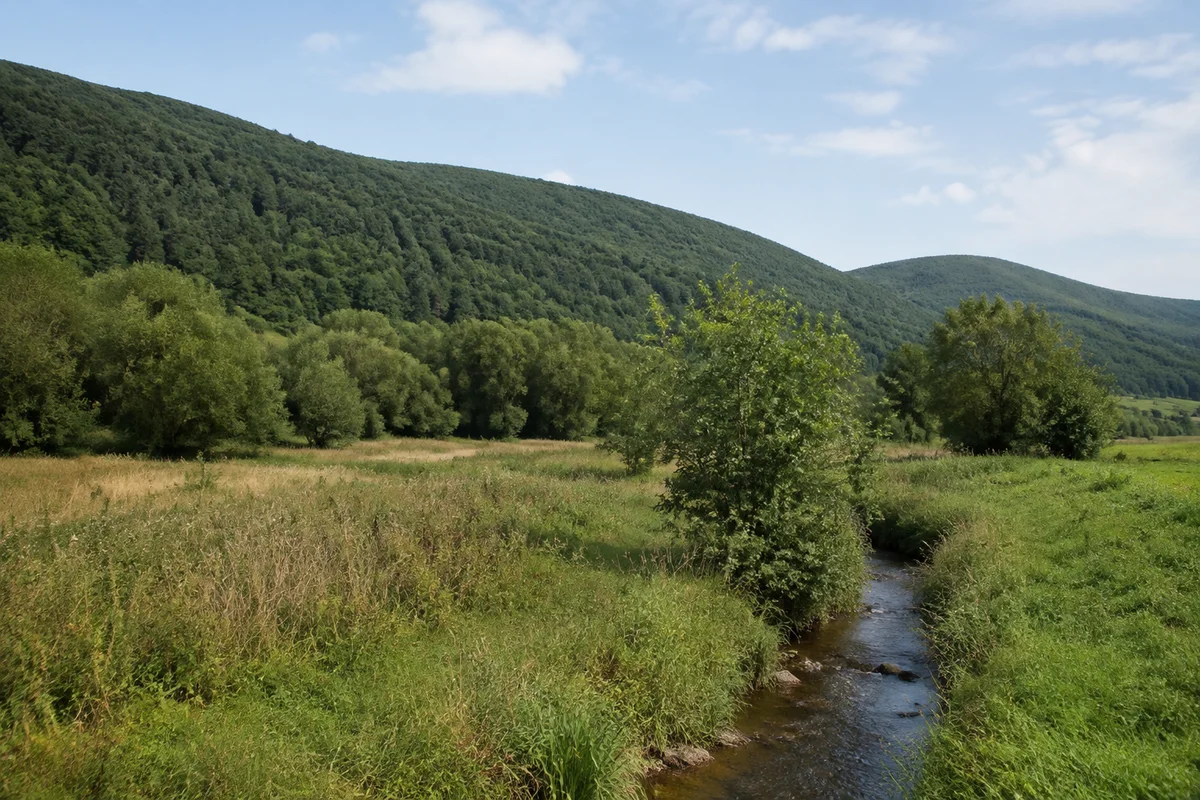 Wiesen und bachbegleitende Erlen unter dem bewaldeten Liethberg bei Barbis, mäßige gerundete Harzhänge