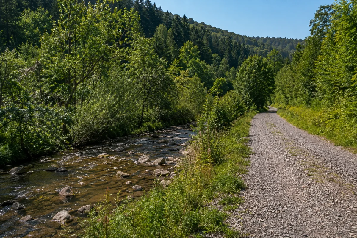 Bad Lauterberg im Harz: Bad Lauterberg im Harz: Schmaler steiniger Fluss mit Ufergehölzen in dicht bewaldetem Mittelgebirgstal, breiter geschotterter Uferweg