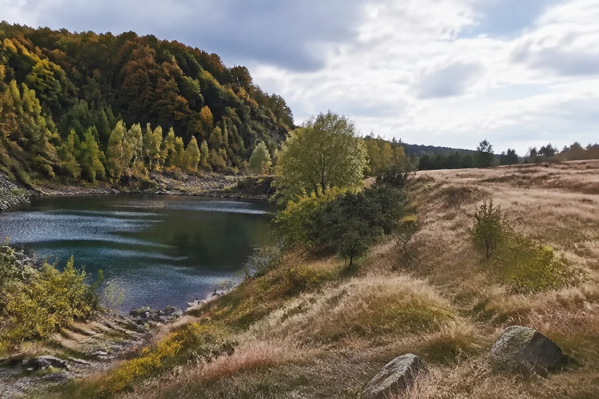 Schwarze Nister: Bachweg im Westerwälder Wald