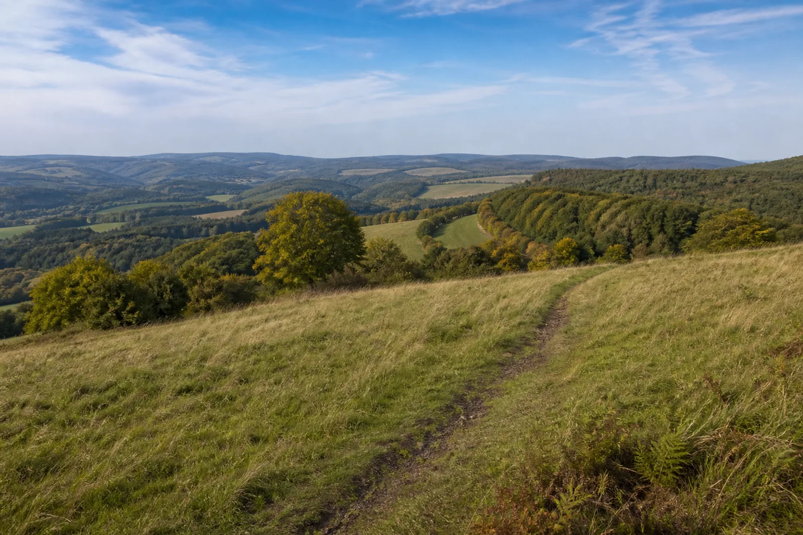 Grasweg über offene Eifelhöhen am Michelsberg