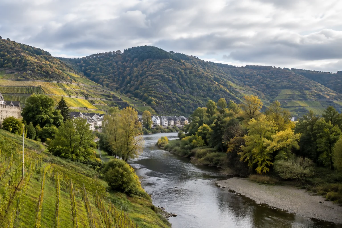 Neuenahrer Wald: Waldwege oberhalb des Kurviertels