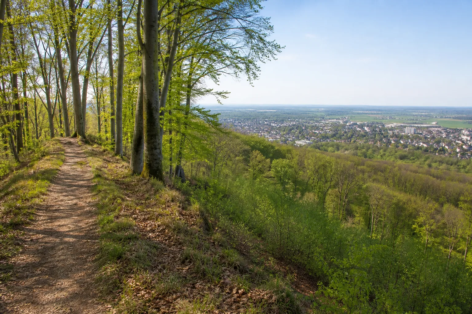 Buchenwaldpfad im Wiehengebirge über Bad Oeynhausen