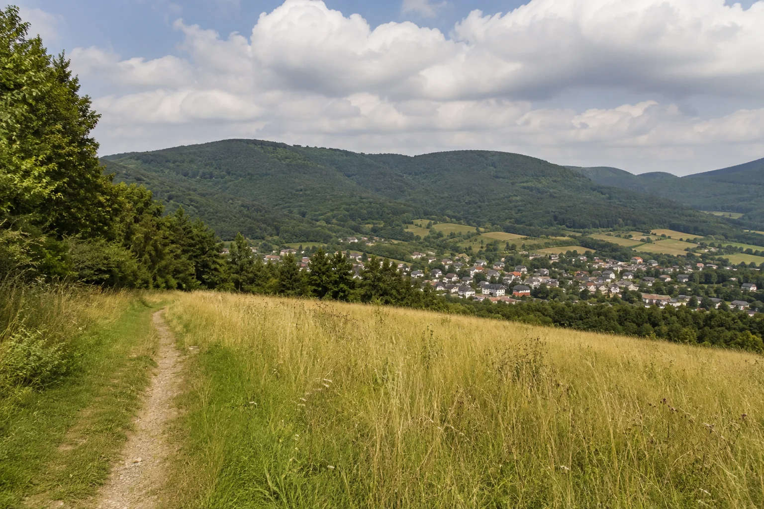 Molkenberg bei Bad Orb: Weg an einer offenen Wiese über der kleinen Talstadt, sanfte dicht bewaldete Spessarthügel.