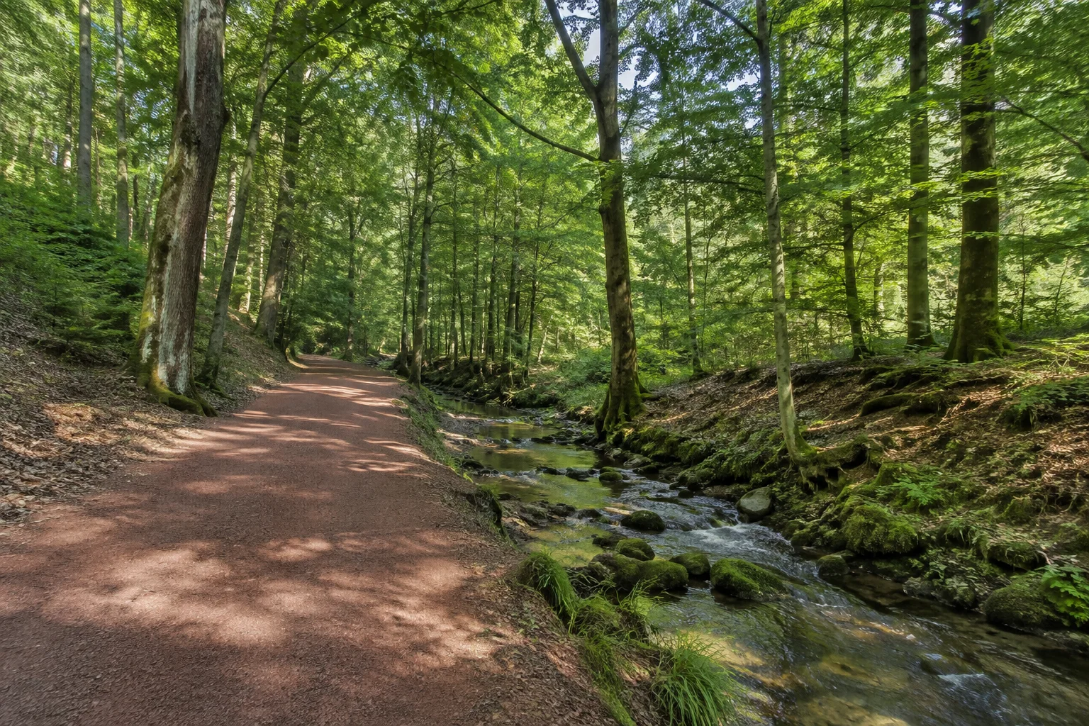 Wald an der Orbquelle: breiter Weg mit rötlich braunem Sandboden neben einem kleinen Quellbach unter Buchen und Eichen.