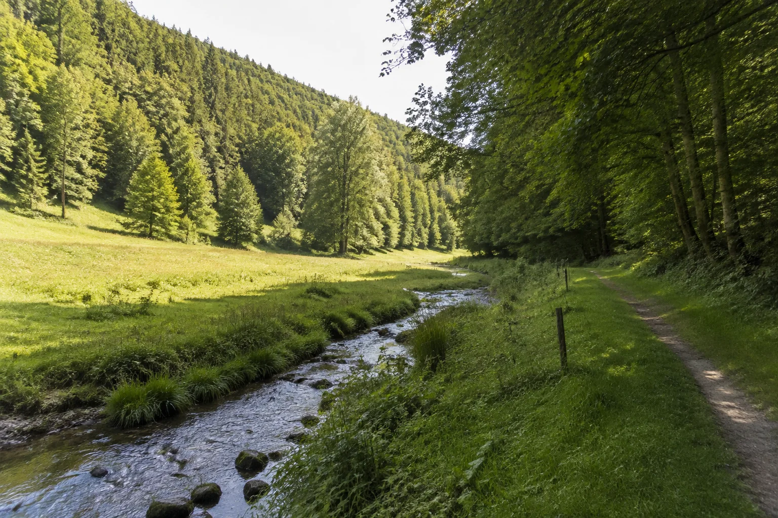 Bad Orb: Haseltal bei Bad Orb: schmaler grüner Wiesengrund mit kleinem Bach zwischen dichten Buchenmischwäldern, ruhiger Talweg.