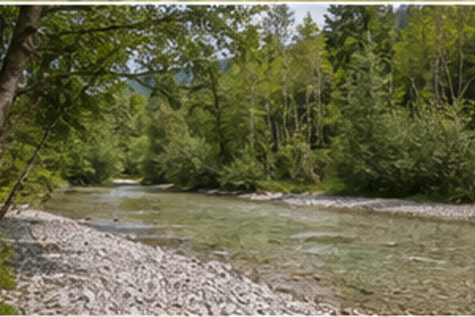 Nonner Au: Auenwald und Kiesufer an der Saalach