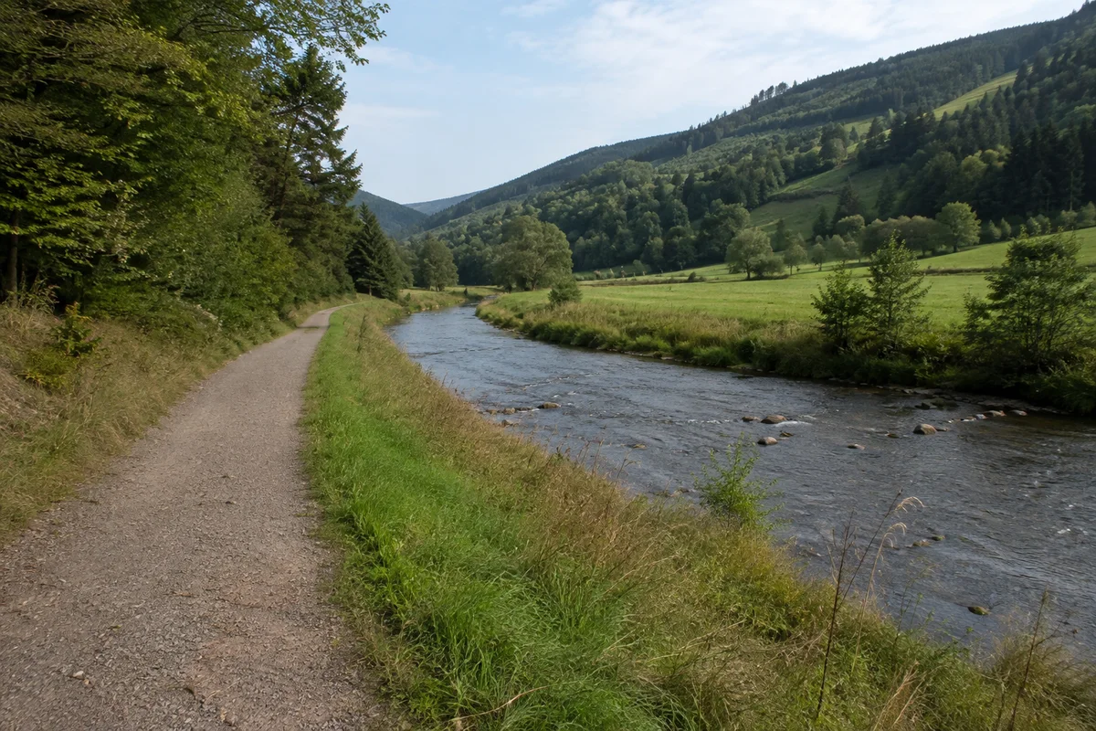 Breiterer Talort an der Wolf mit Wiesen und Seitenhangzugängen.