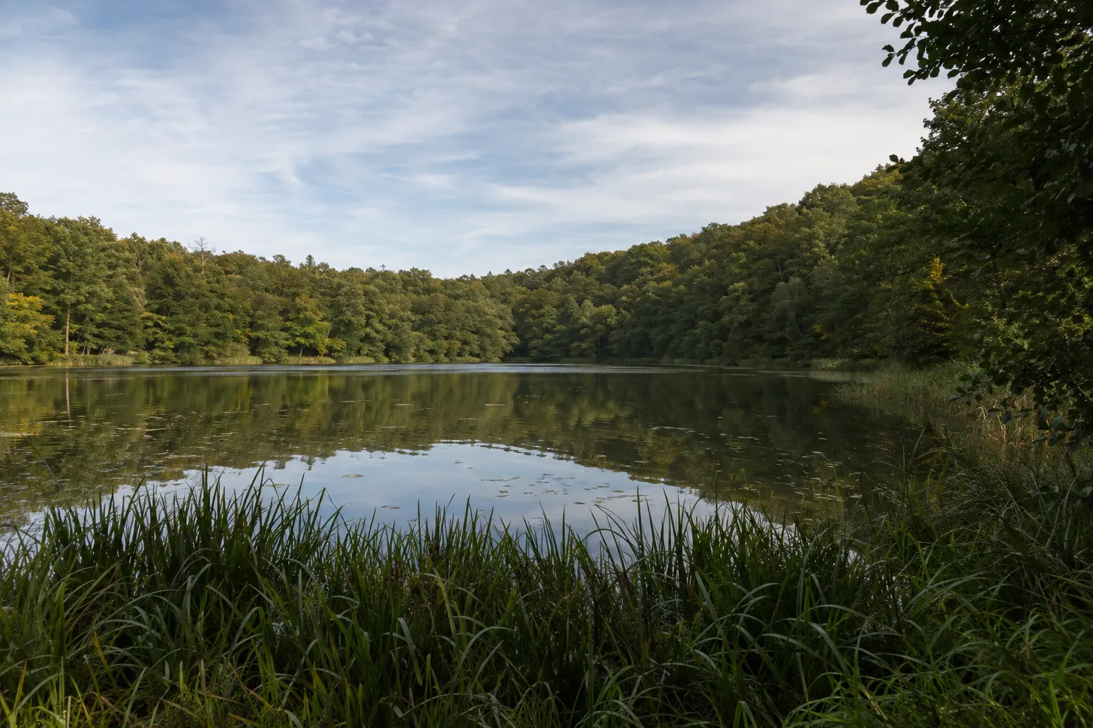Petersdorfer See: Kleinerer See unter bewaldeten Hügeln nördlich des Kurorts