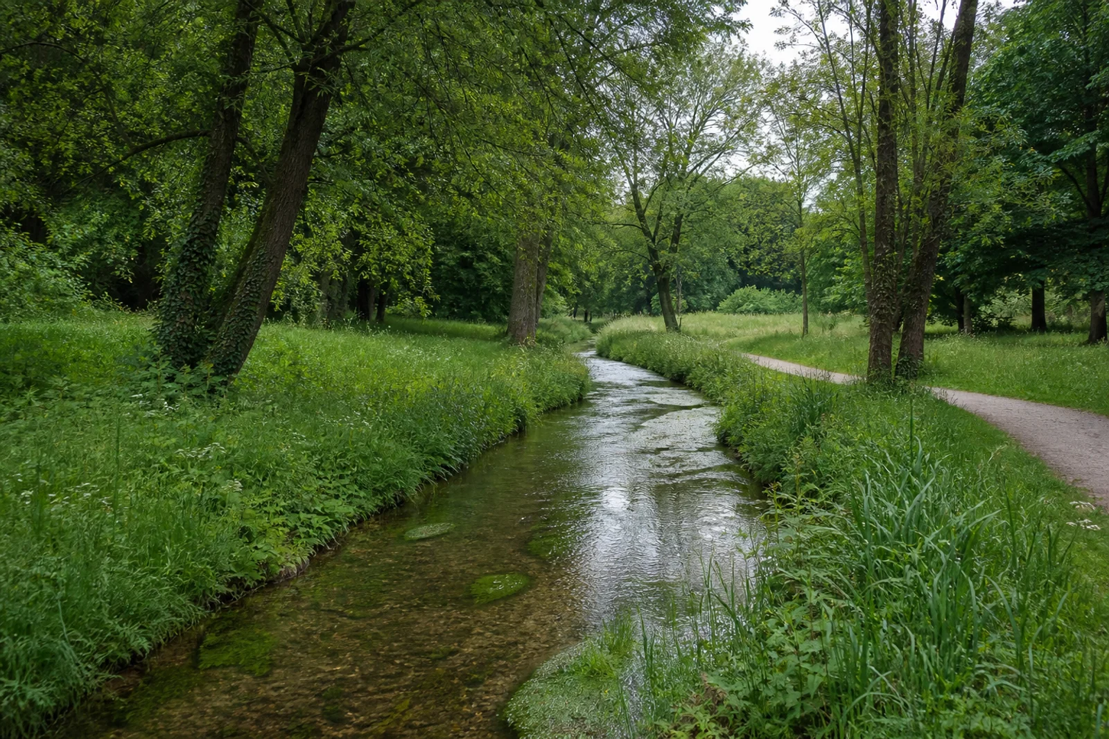 Salze und Parkwege im Landschaftsgarten