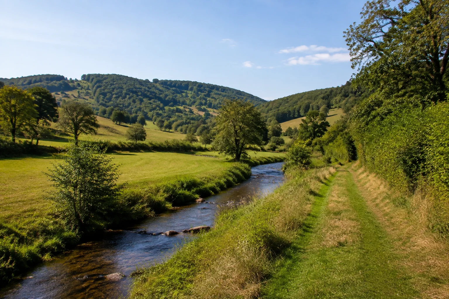 Huttengrund bei Romsthal: offenes Tal mit Hecken und einzelnen Obstbäumen, niedrige bewaldete Hügel und schmaler Bach.