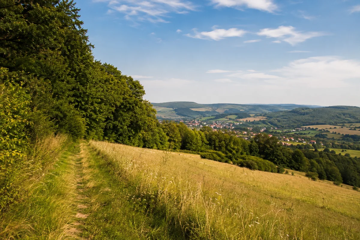 Ahrenberg: Wiesenpfad am Waldrand mit Talblick auf kleine entfernte rote Dächer