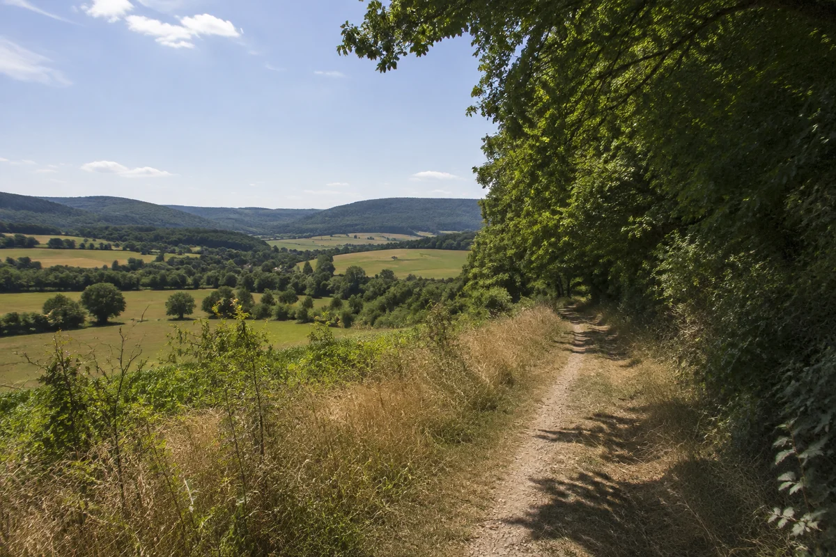 Dudenrode: weiter Laubwaldsaum oberhalb eines dörflichen Wiesentals im Meißnervorland