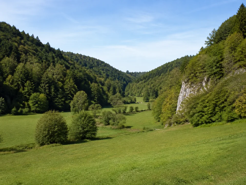 Juratal bei Schwabthal: Engeres grünes Tal bei Schwabthal mit Wiesen am Grund und bewaldeten Hängen des fränkischen Jura