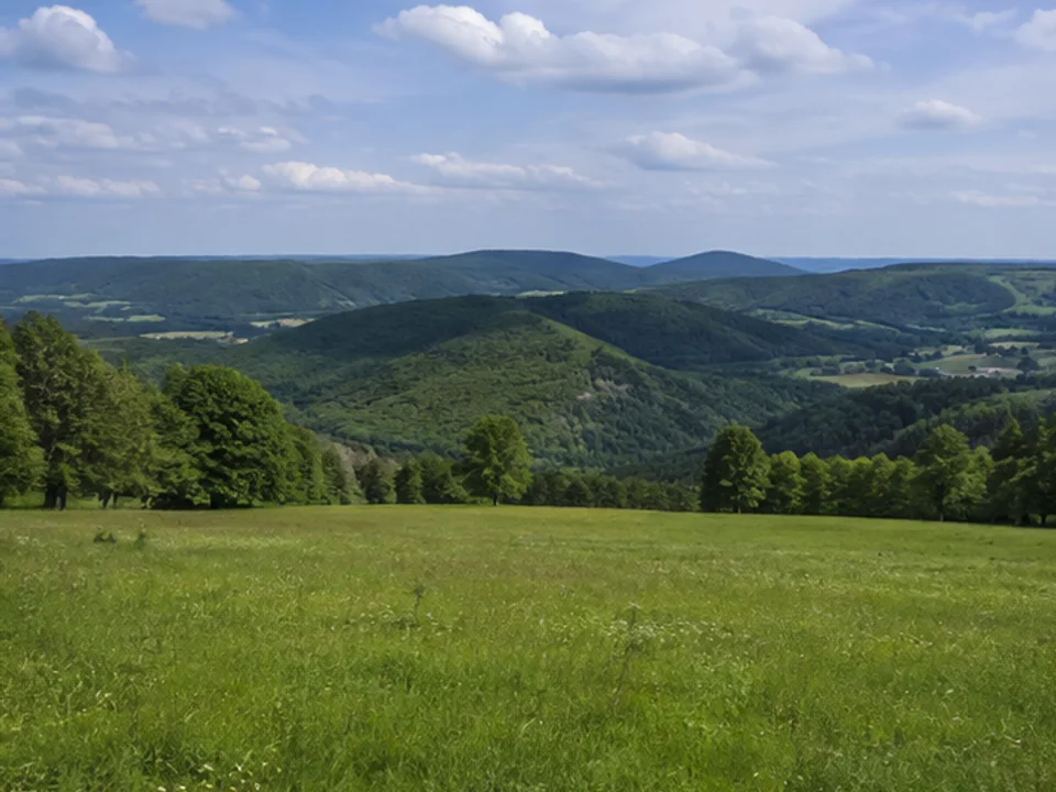 Carlsgrüner Höhe: offene Wiese über rollenden Waldbergen