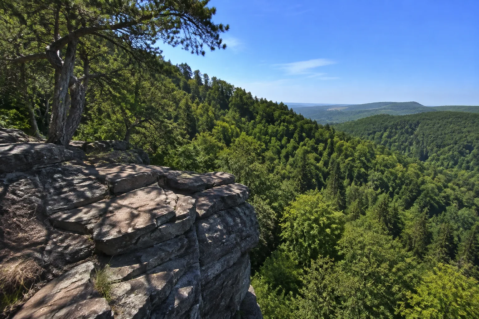 Datenberg: felsiger Aussichtspunkt über dichtem Laubwald