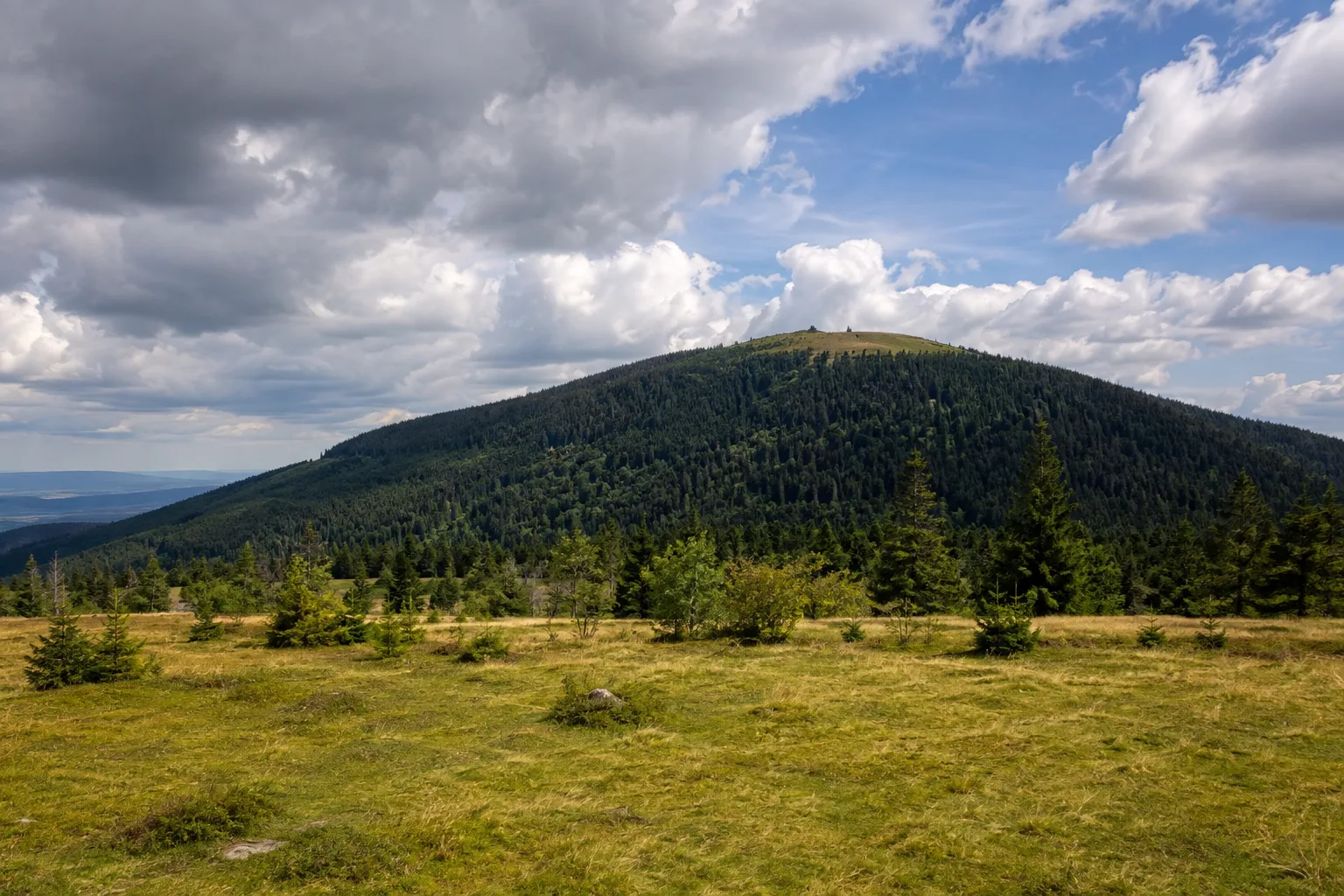 Grenzwiese: offene Bergwiese unter dem bewaldeten Inselsberggipfel
