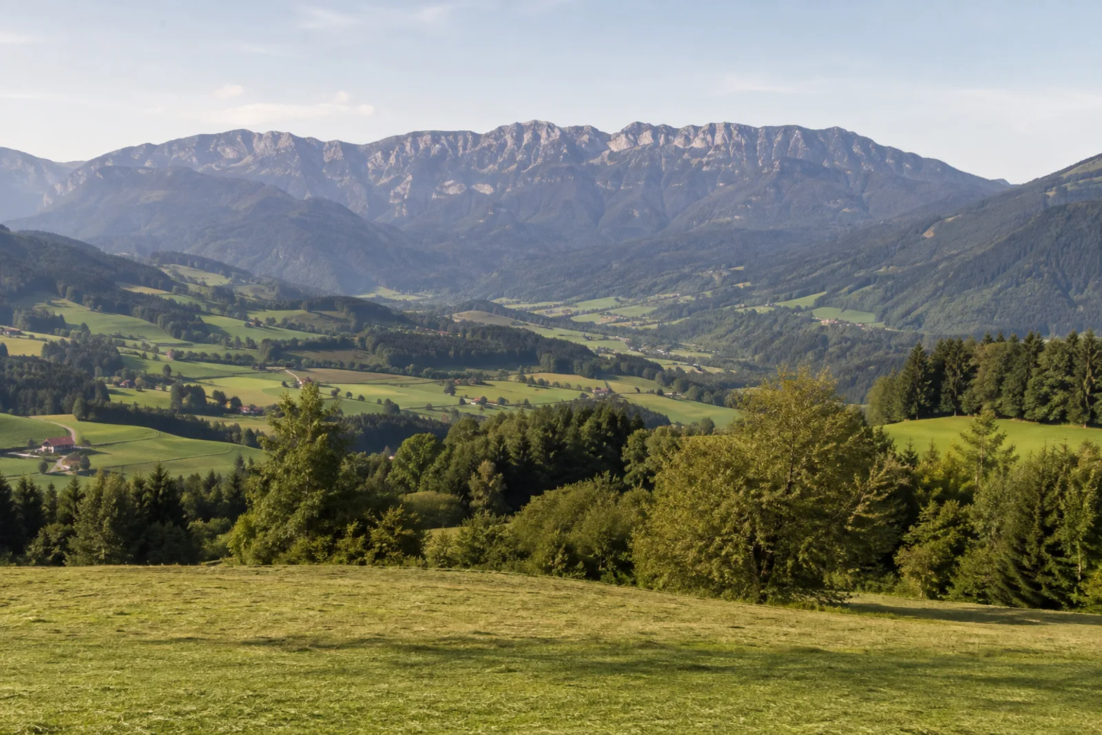 Wackersberger Höhe: Bauernwiesen vor Blomberg und Benediktenwand