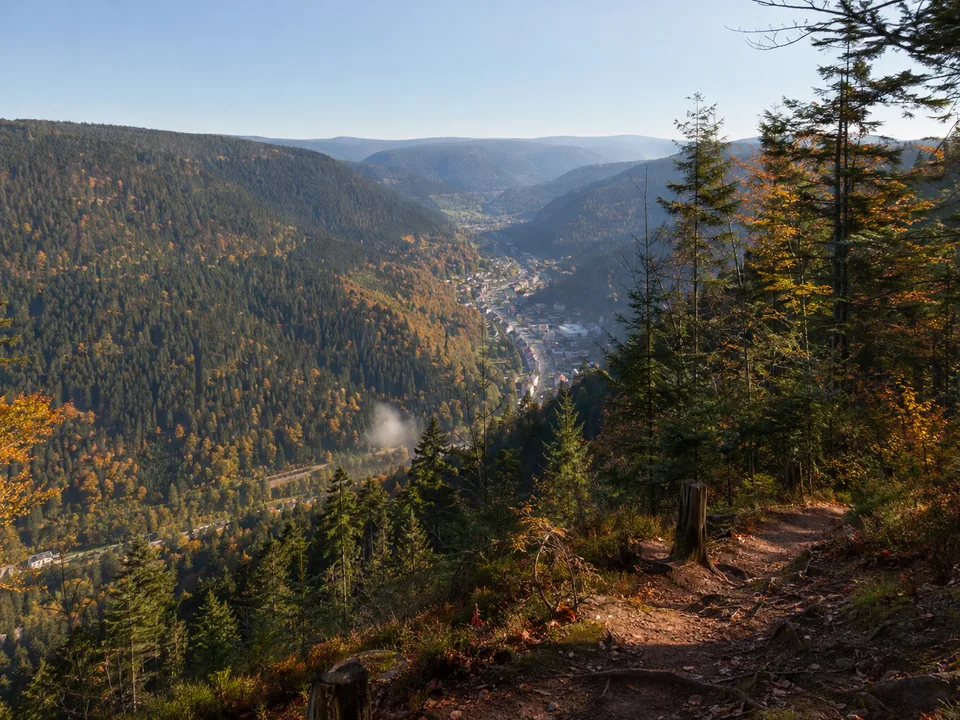 Kaltenbronn: Holzsteg durch ein stilles Hochmoor