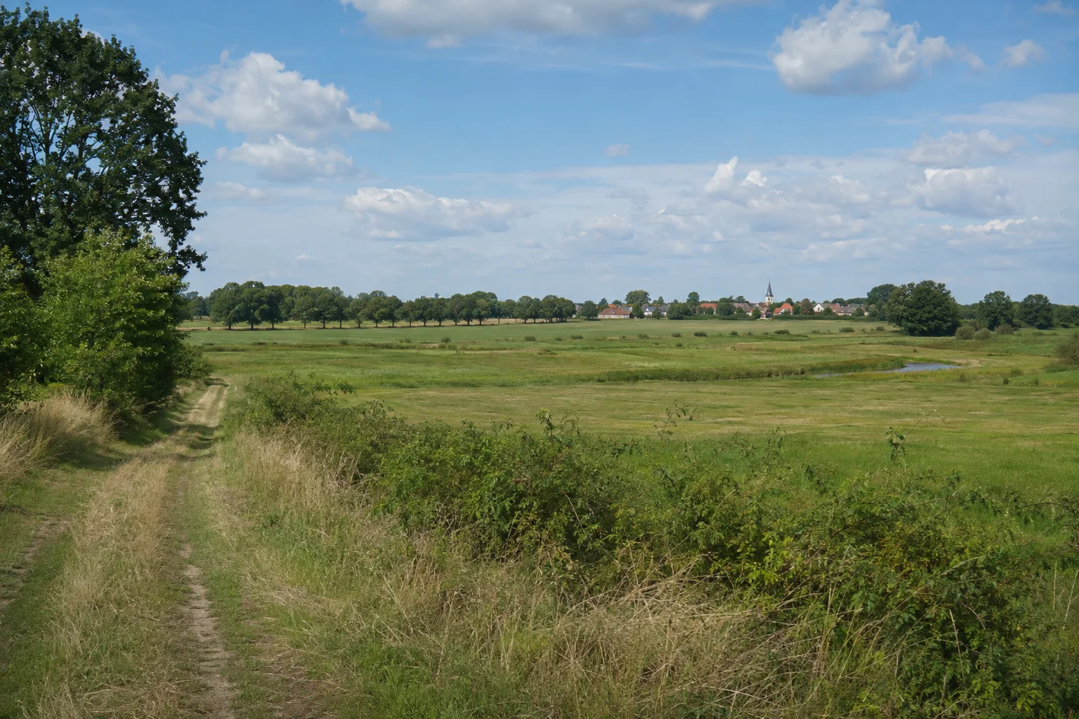 Groß Lübener Niederung: weite flache Wiesenlandschaft mit Baumreihen und einem kleinen Dorf am Horizont