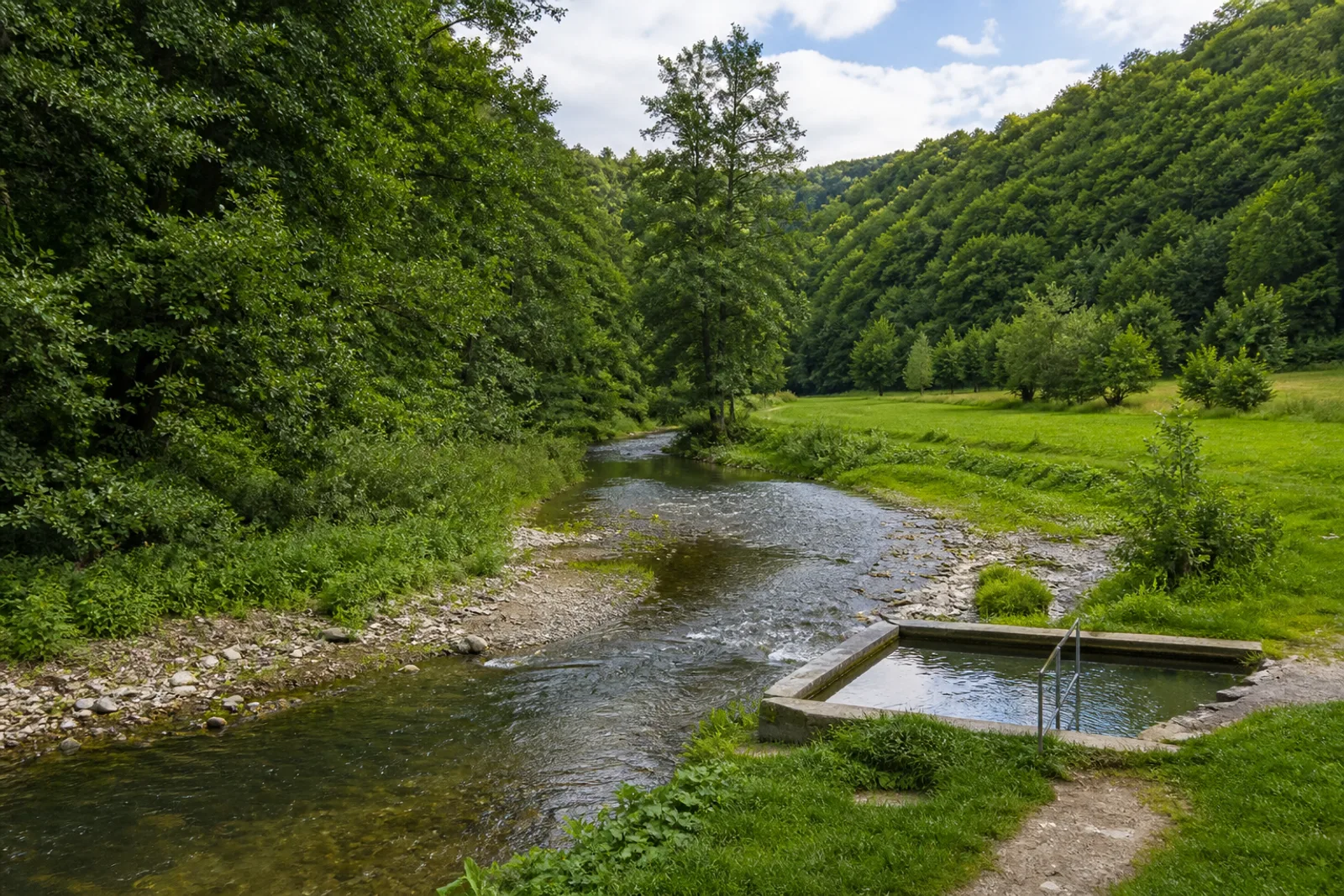 Aa-Bach im grünen Aatal