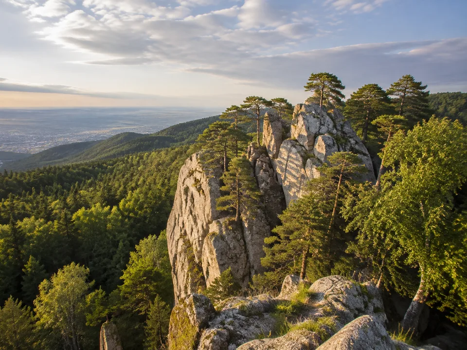 Merkur: bewaldeter Hausberg mit Aussichtsturm