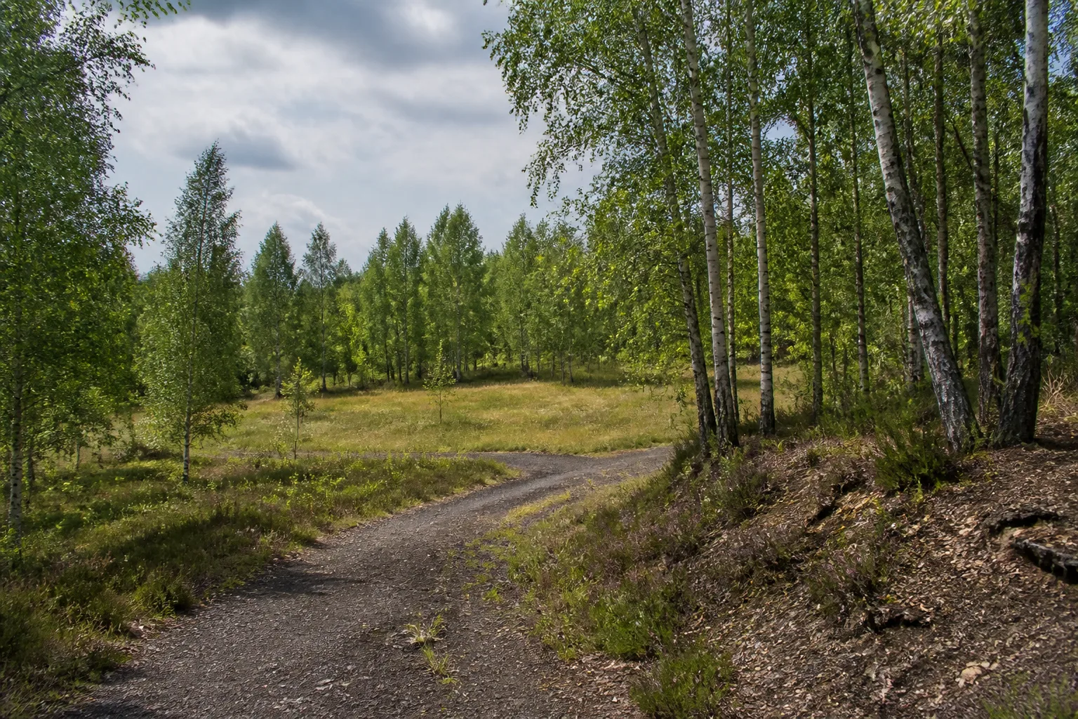 Pionierwald im CarlAlexanderPark Baesweiler