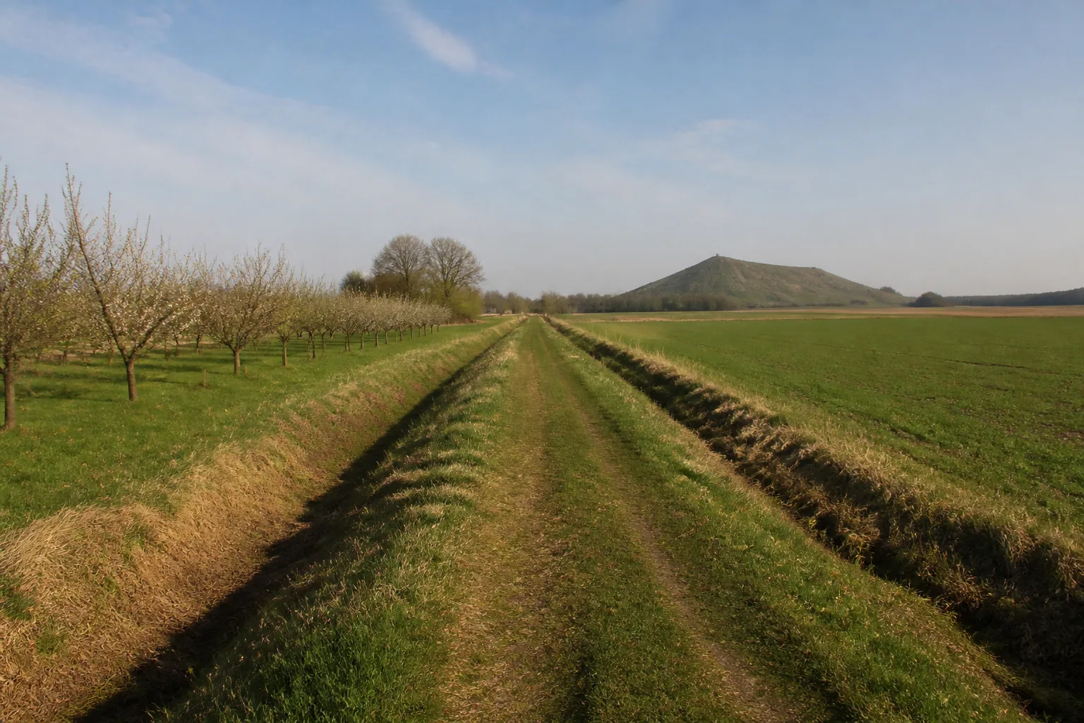 Feldweg der Via Belgica bei Baesweiler