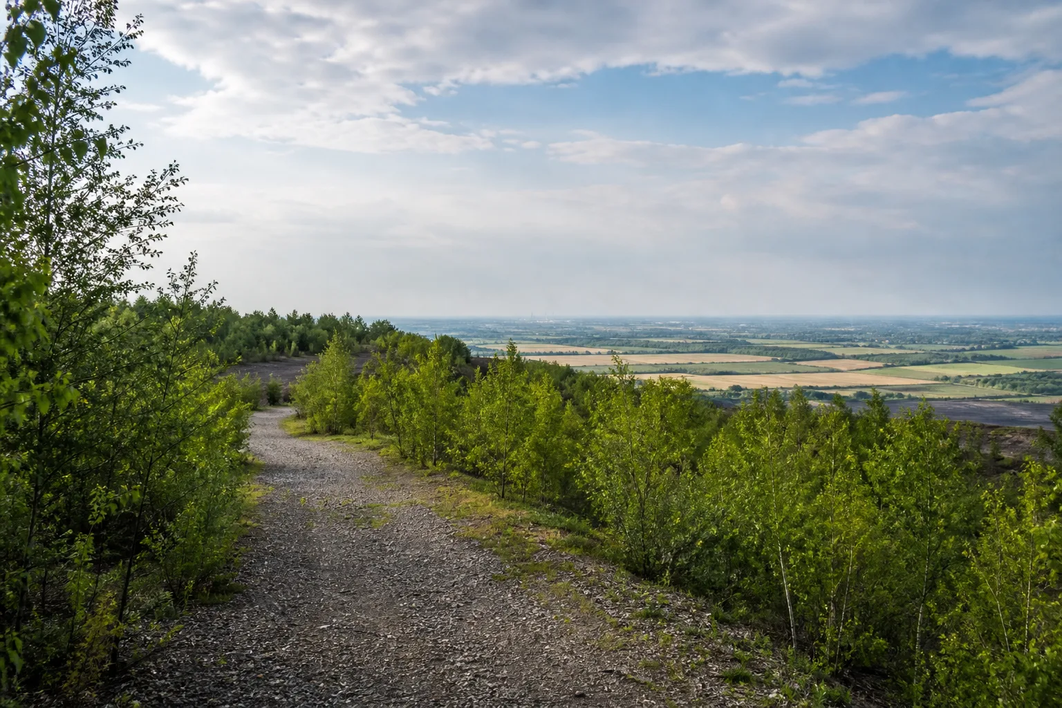 Baesweiler: Bewaldete Halde des CarlAlexanderParks in Baesweiler