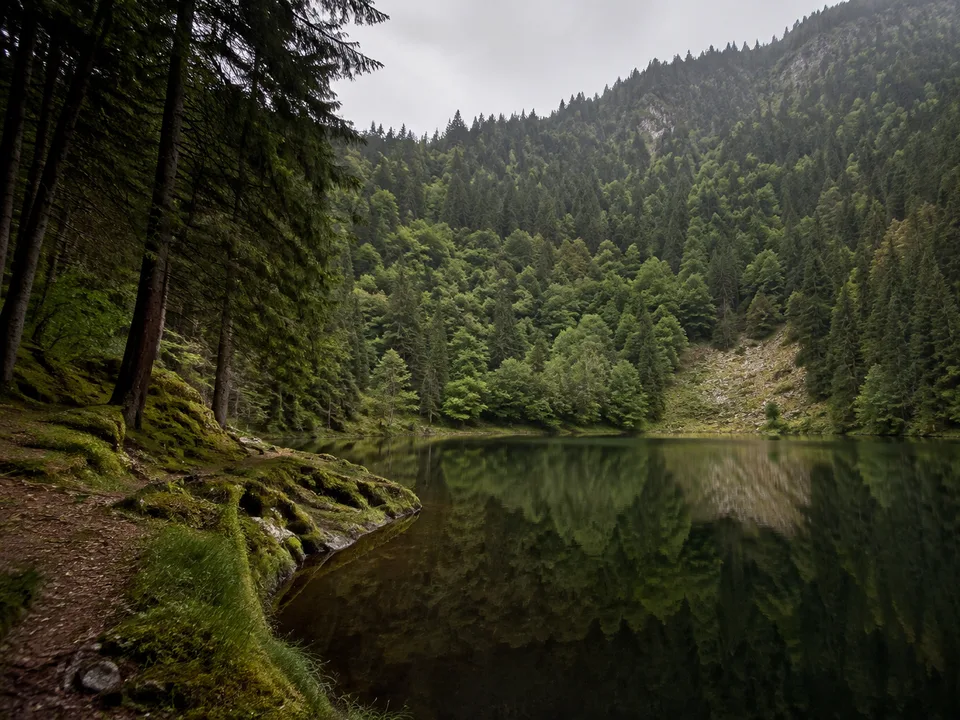 Tonbachtal: Wiesenband und Höfe zwischen hohen Waldhängen